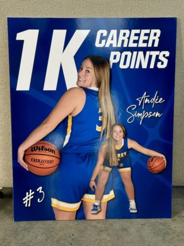 Commercial-printer-in-Hailey-daho-1-20-26-00IMG 3130